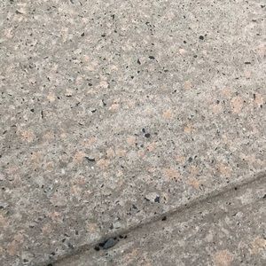 Meet your Posher, Channing